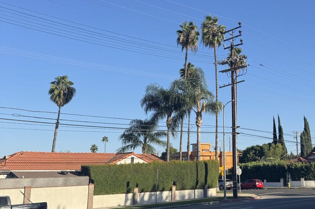 Palm trees and red-tile roofs on a San Fernando Valley street
